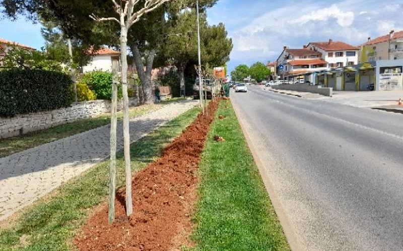 PRIPREMA CVJETNIH POVRŠINA ZA PROLJETNU SADNJU CVIJEĆA