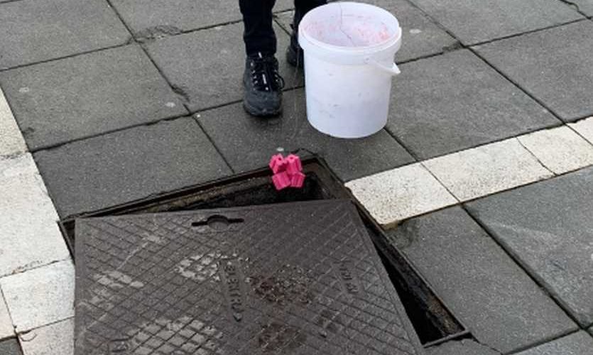 DERATTIZZAZIONE E DISINFESTAZIONE NELL’ UO. “MERCATO”