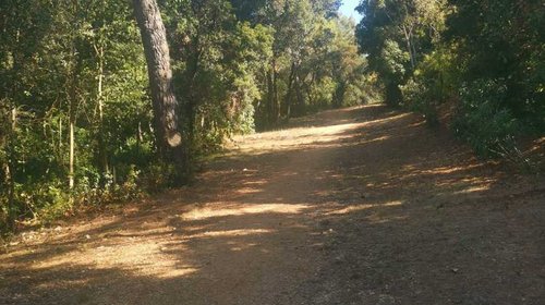 PULIZIA STRADA ANTINCENDIO