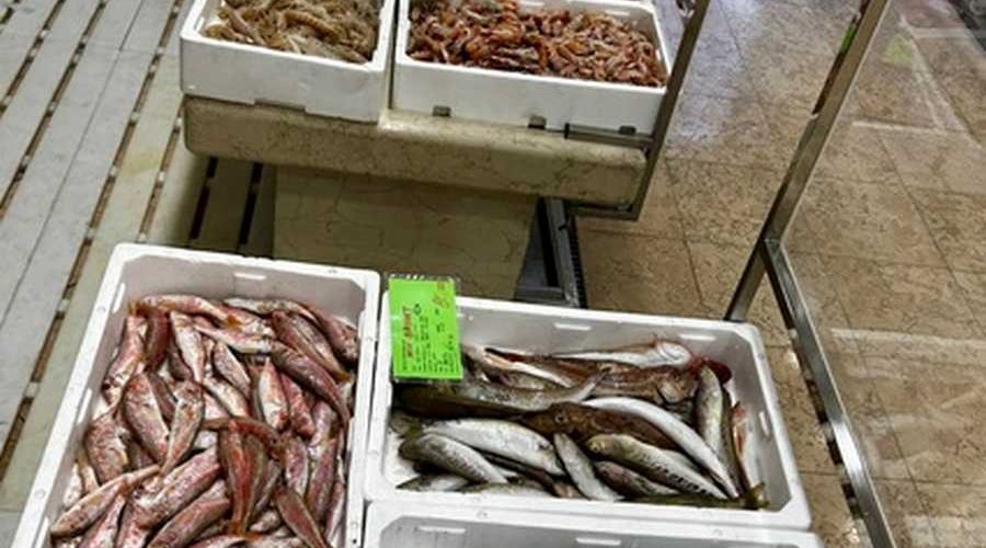 GRANDE OFFERTA DI PESCE BIANCO