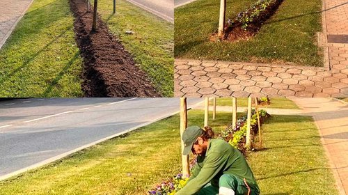 PIANTUMAZIONE DI FIORI AUTUNNALI