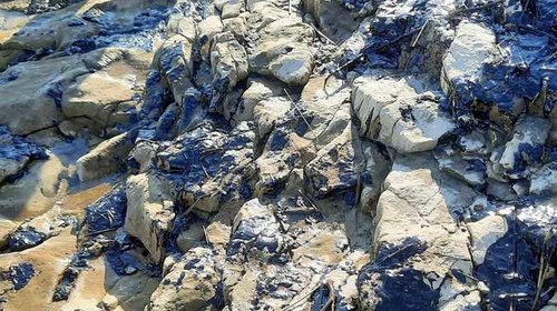 CONTRIBUTO DIRETTO AL RISANAMENTO DELL'INQUINAMENTO MARINO E COSTIERO DEL COMUNE DI LISIGNANO