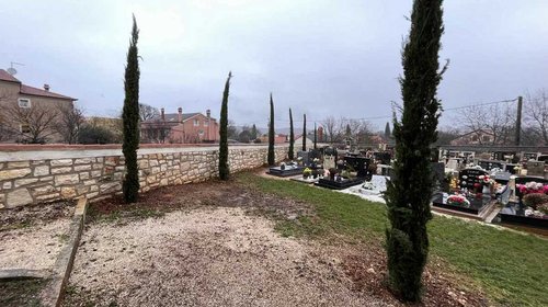 PIANTUMAZIONE DI ALBERI NEL CIMITERO DI VILLA DI ROVIGNO