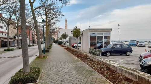 LAVORI DI SOSTITUZIONE DELLE PIANTE DEPERITE IN RIVA DEI CADUTI