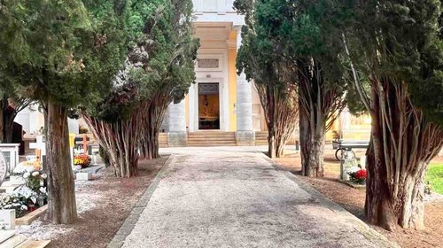 Pulizia dei cipressi al cimitero