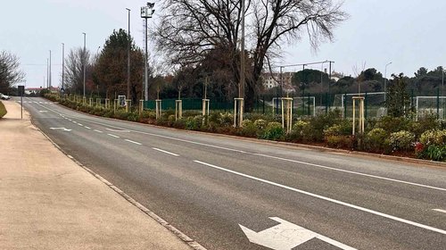 RISTRUTTURAZIONE DELLE AREE VERDI