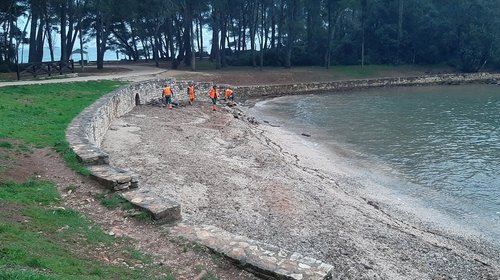 RIMOZIONE DEI TRONCHI