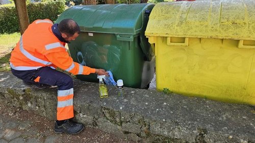 Pulizia delle isole verdi