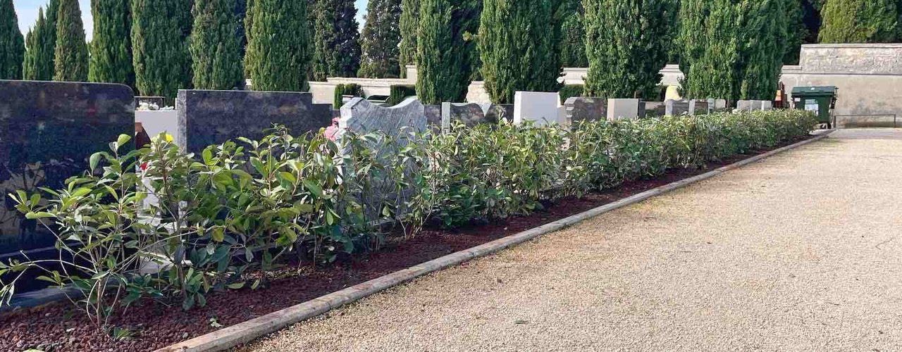 SOSTITUZIONE DEL VERDE DEPERITO