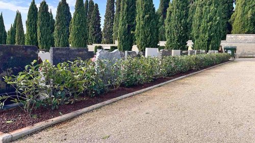 SOSTITUZIONE DEL VERDE DEPERITO