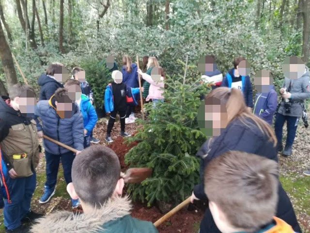 SADNJA STABALA NA PUNTA CORRENTE