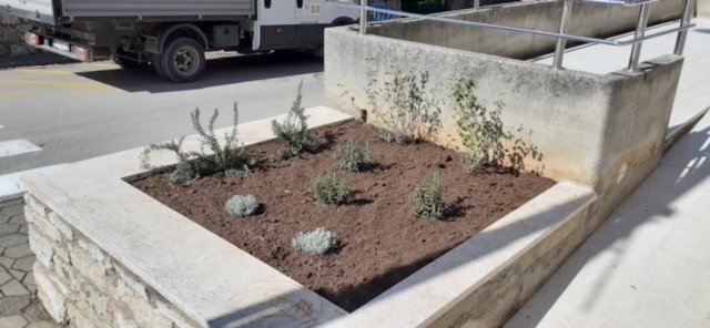 ZASAĐENO KORITO ISPRED PROSTORIJA UMIROVLJENIKA