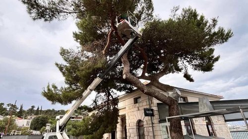 Continuiamo con i lavori