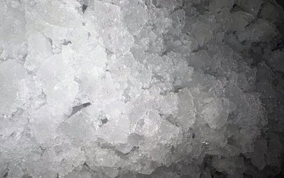 VIJESTI S GRADSKE TRŽNICE