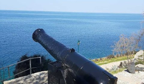 VERNICIATURA DEL CANNONE