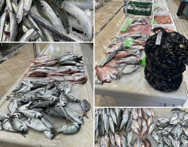 BOGATA PONUDA SVJEŽE RIBE
